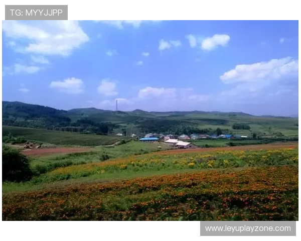 交易截止日成避税狂欢，多队为规避奢侈税进行阵容调整